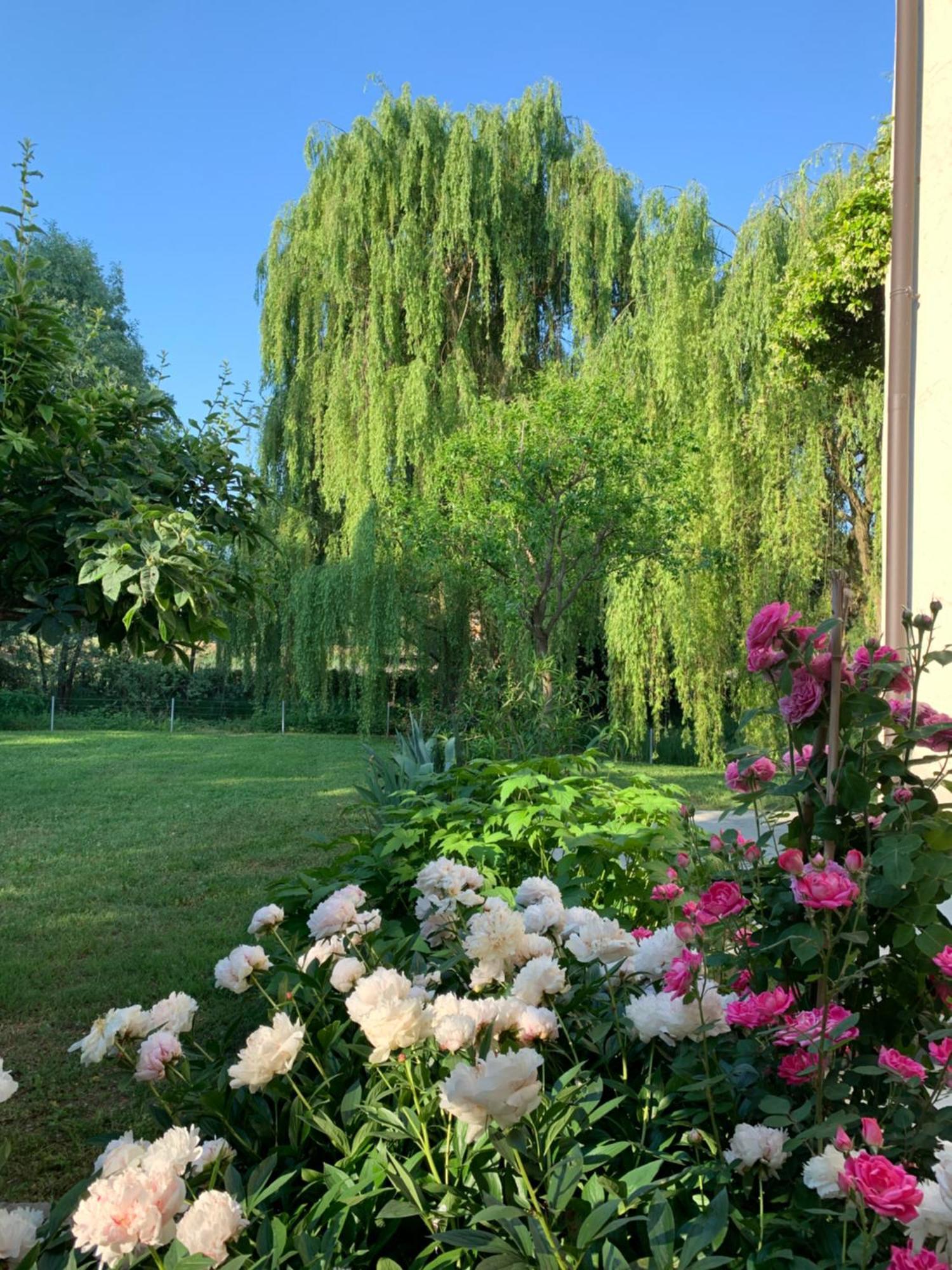 L'Isolo B&B E Case Vacanza 蒙赞巴诺 外观 照片